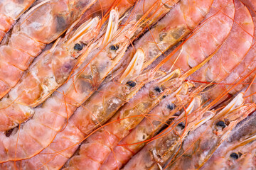 Fresh frozen red raw shrimps. Top view