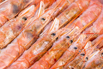 Fresh frozen red raw shrimps. Top view