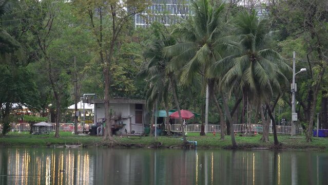 Lumphini Park In The Morning With Trees Reflections On Lake