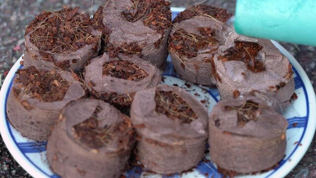 Coconut Husk Fiber Pelled Used for Growing Seedlings