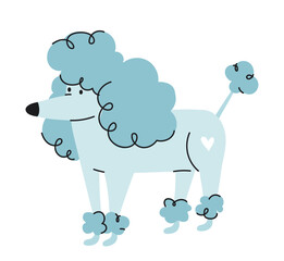 Blue cute doodle dog. Poodle with big hair. Beauty, elegance and aesthetics. Minimalistic sticker for social networks and instant messengers. rare breed pet. Cartoon flat vector illustration