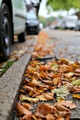 Naklejka premium Autumn leaves on a road against a blurred background