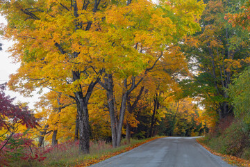 A Turn toward Autumn on Manitoulin