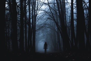 Girl on the road in a mysterious forest. Background wallpaper. Strange forest in a fog. Mystic atmosphere. Dark scary park. Paranormal another world. Gothic witch.