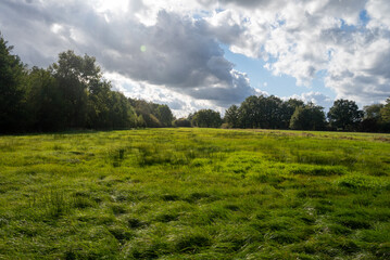 Landscape photography of a field and blue sky, sunny and cloudy day