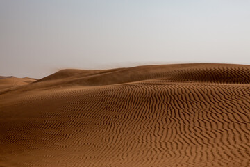 sand dunes in the desert