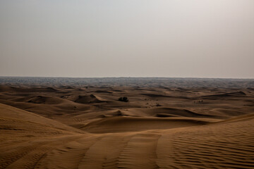 desert road in the desert