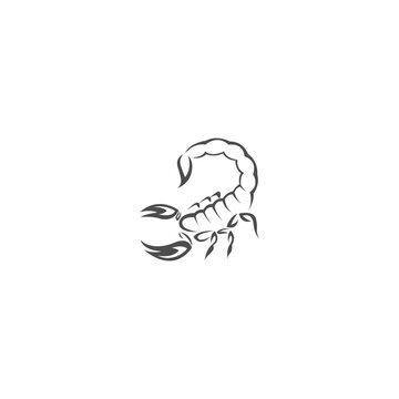 Scorpion icon logo design illustration