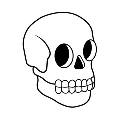 Cráneo - calavera