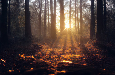 Obraz premium Amaneceres hermosos en México