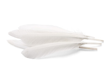 Many fluffy beautiful feathers on white background