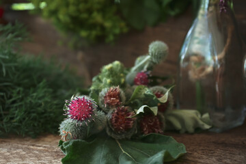 Bunch of beautiful burdock on wooden table, closeup