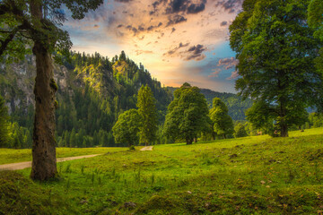 landscape in the mountains over a green field with dramatic sunset