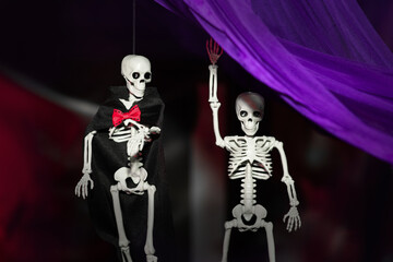 Decoration for Halloween: two skeletons hanging from a purple cloth on a dark background in a dark room. One skeleton in a black cape with a red bow-tie.