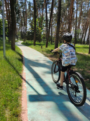 Naklejka premium A teenage boy rides a bicycle in the park on a winding path in perspective. Rear view