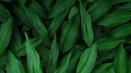 green leaves background, 3d rendering