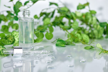 A perfume or essential oil glass bottle on a white background surrounded by green leafs