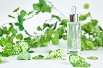 A perfume or essential oil glass bottle on a white background surrounded by green leafs
