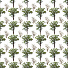 Ornamental pattern created from a photograph of branches and trees on a white background.