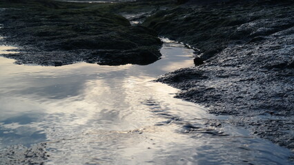 sea