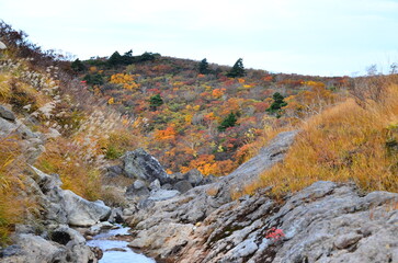 Mt Kurikoma is a volcano on the prefectural borders of Akita, Iwate and Miyagi. It is famous for having a wide range of mountain plants and amazing fall foliage. It is known as one of Japan’s best Mt.