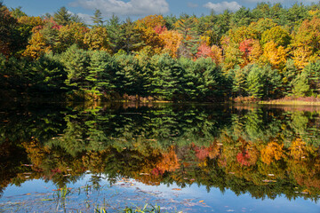 reflection of  autumn on pearl brook pond