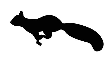 Squirrel with vector silhouette. Funny wild animal cartoon squirrel running, standing and jumping. vector squirrel collection cartoon animal character design Isolated flat  illustration.