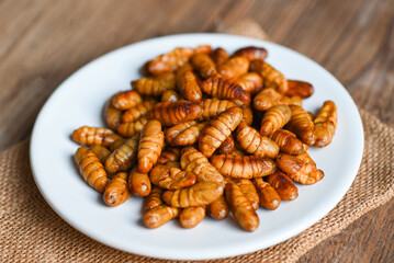 pupa on white plate background, fry silk worms - fried pupa for food beetle worm