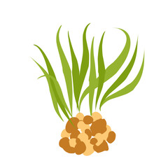 aqua scape ecosystem illustration