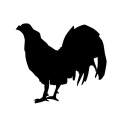 chicken silhouette
