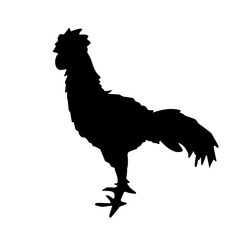 chicken silhouette