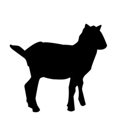 goat silhouette vector