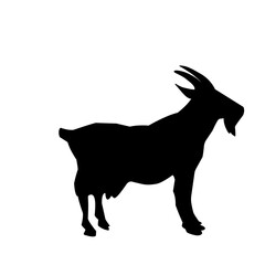 goat silhouette vector