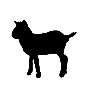 goat silhouette vector