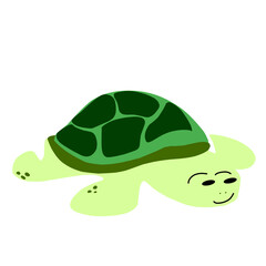 green turtle