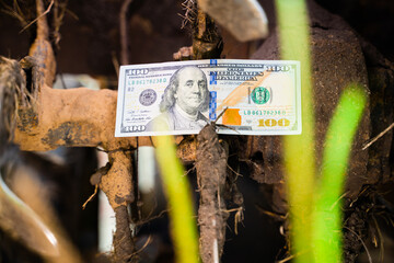One hundred us dollars on a mini tractor rototiller close-up. Money and the agricultural industry....