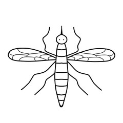 mosquito illustration