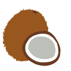 peeled coconut vector