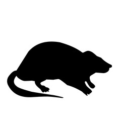 Rat Silhouette