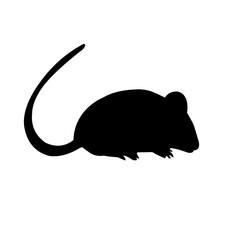 Rat Silhouette