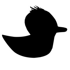 Fototapeta premium duck silhouette