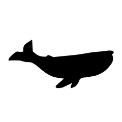 whale silhouette