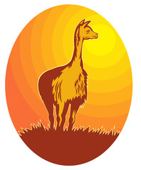 illustration of a Vicuna standing with sun in background
