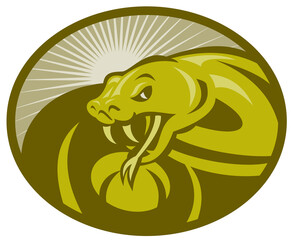 illustration of a Angry snake viper baring its fangs with sunburst in background set inside an ellipse