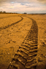 tracks in the sand