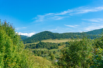 Obraz premium Beautiful green landscape with mountains in the background. Altay