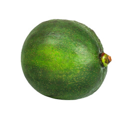 Green avocado whole isolated