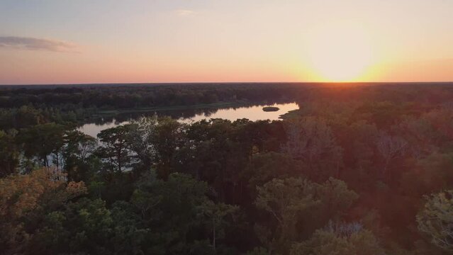 Louisiana swamp bay bayou cypress trees sunset