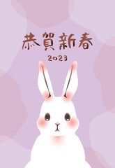 2023年卯年の年賀状　縦（恭賀新春・ピンク系）