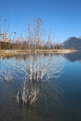 Fototapeta na wymiar High Waters Of Lake Abraham, Nordegg, Alberta